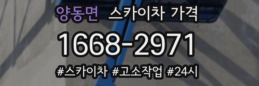 양동면 스카이차 가격