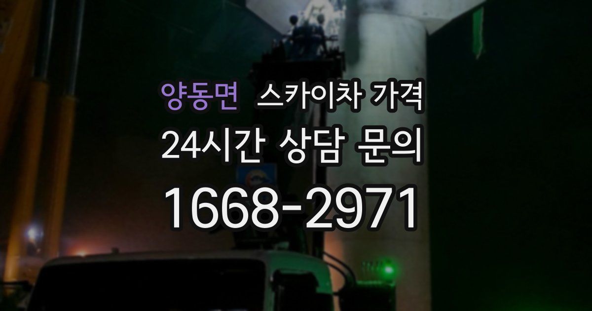 양동면 스카이차 가격