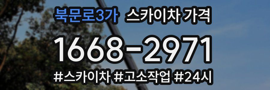 북문로3가 스카이차 가격