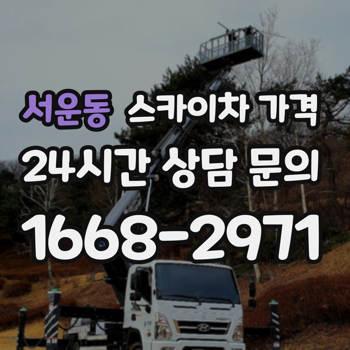 서운동 스카이차 가격