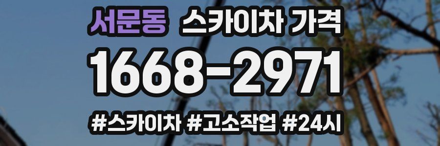 서문동 스카이차 가격