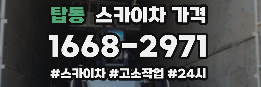 탑동 스카이차 가격