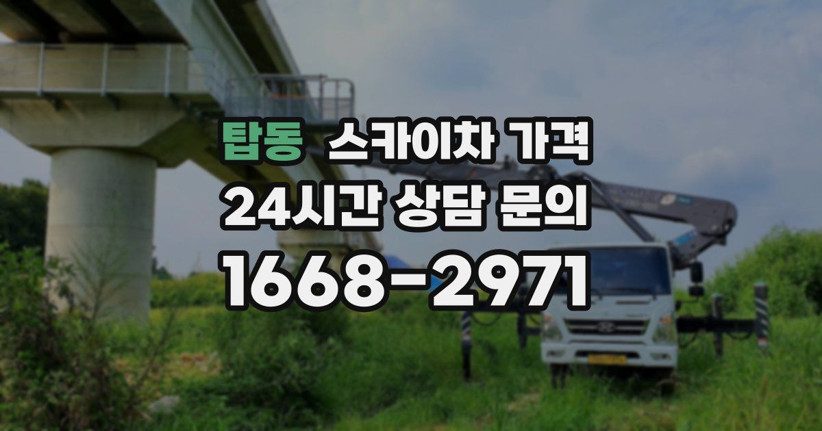 탑동 스카이차 가격