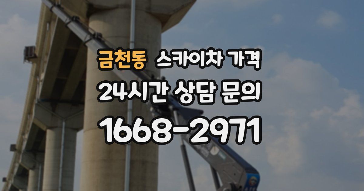 금천동 스카이차 가격