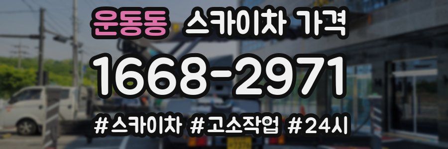 운동동 스카이차 가격