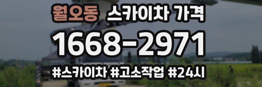 월오동 스카이차 가격