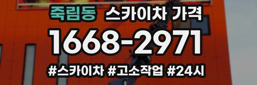 죽림동 스카이차 가격