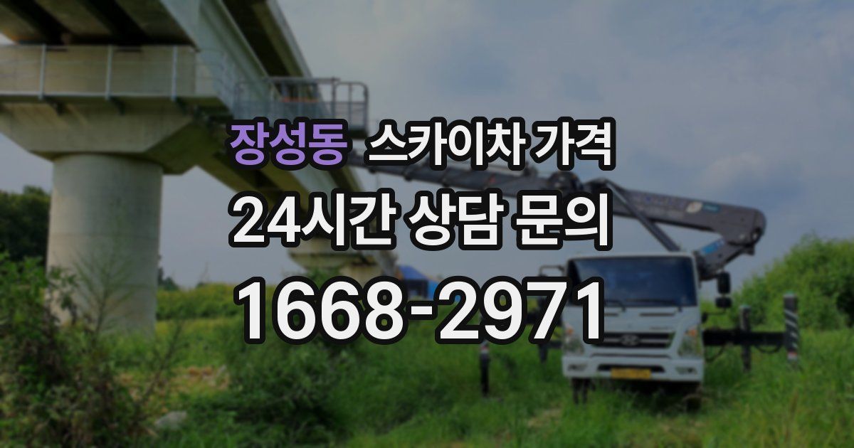 장성동 스카이차 가격