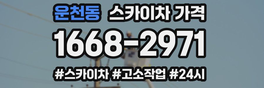 운천동 스카이차 가격