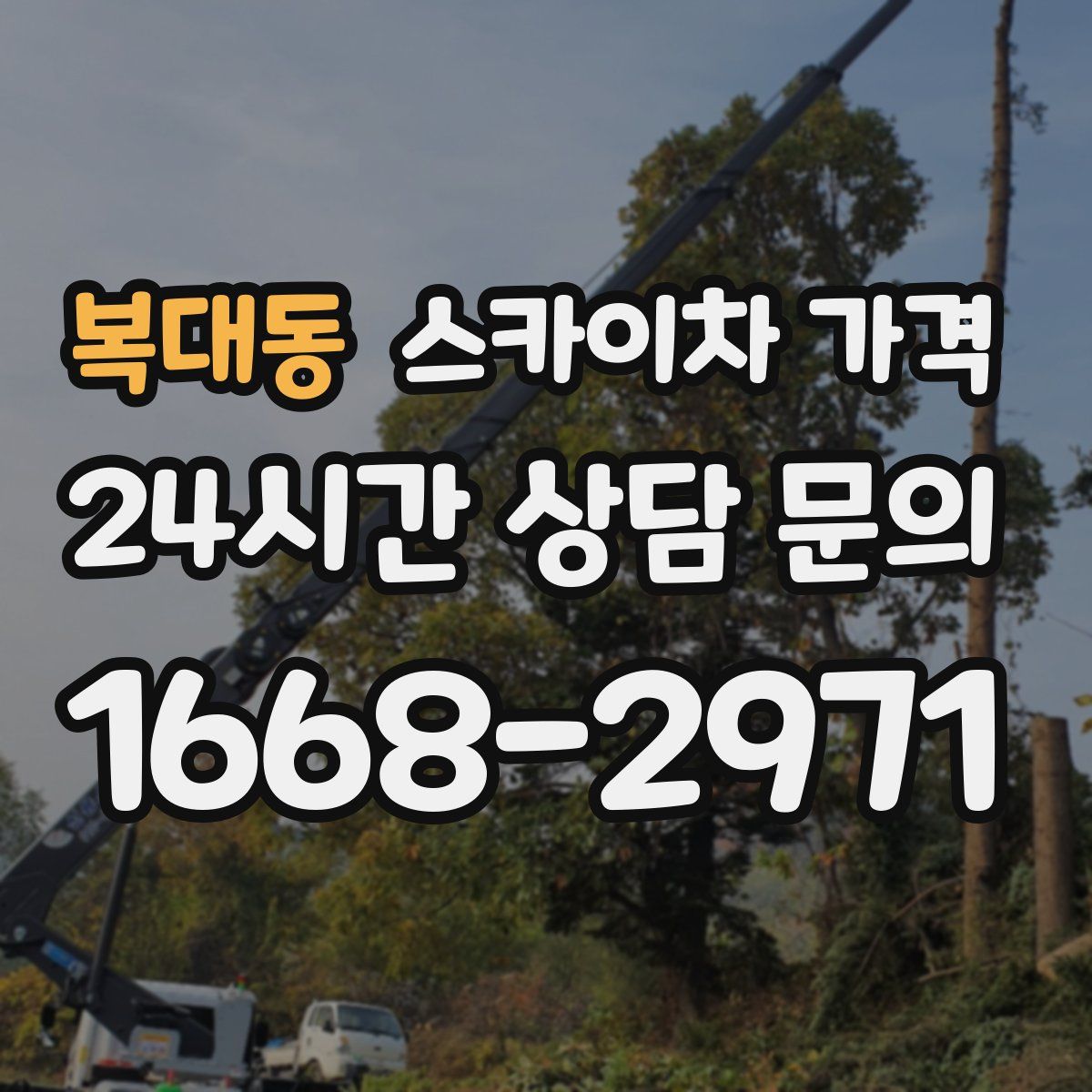 복대동 스카이차 가격