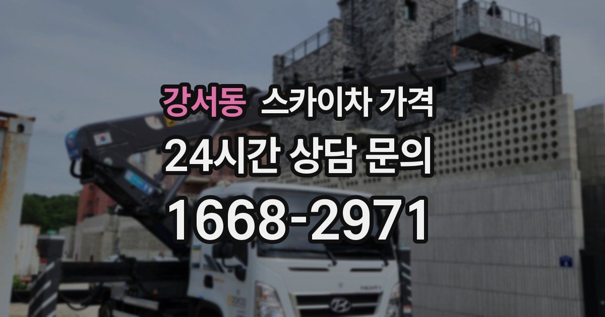 강서동 스카이차 가격