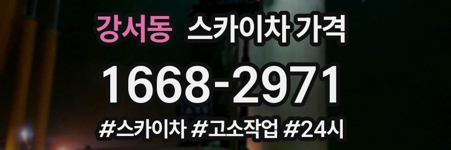 강서동 스카이차 가격