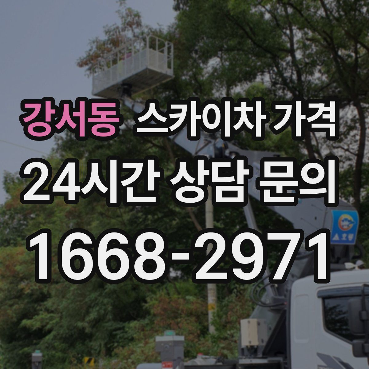 강서동 스카이차 가격