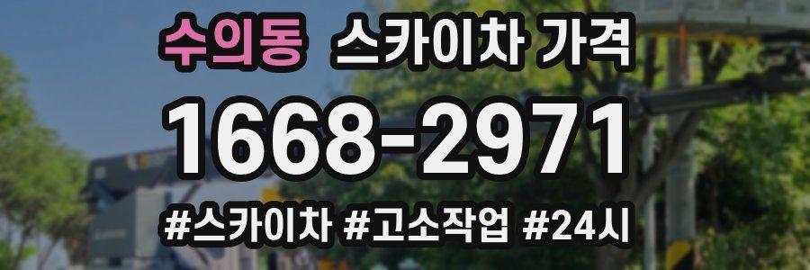 수의동 스카이차 가격