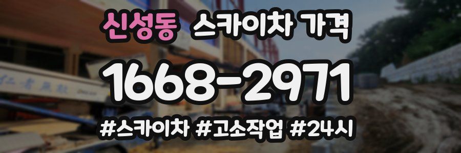 신성동 스카이차 가격