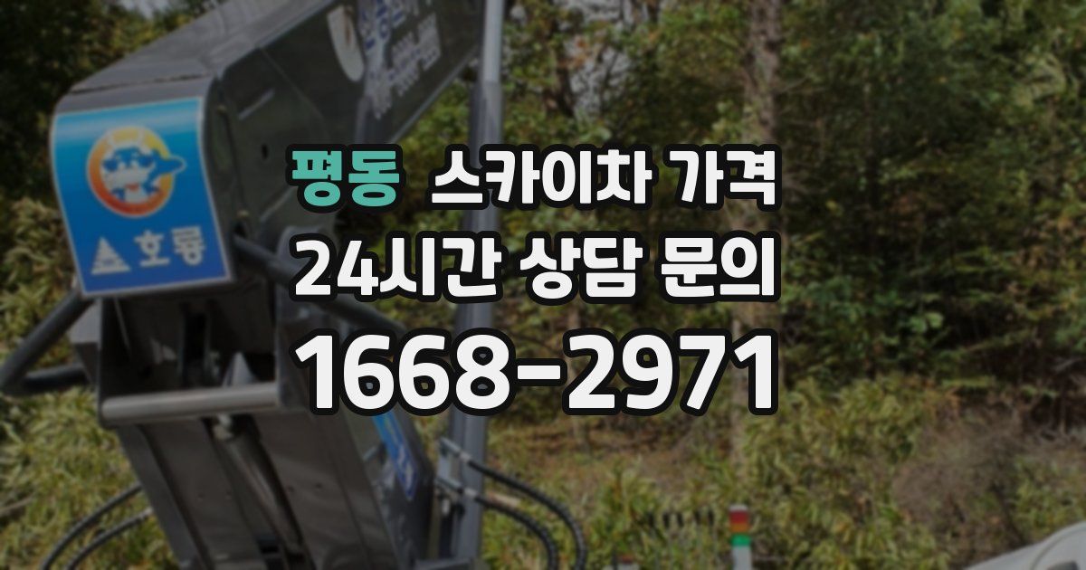 평동 스카이차 가격