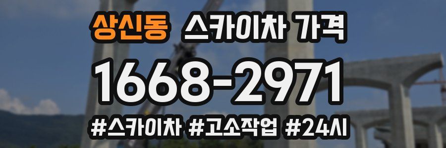 상신동 스카이차 가격