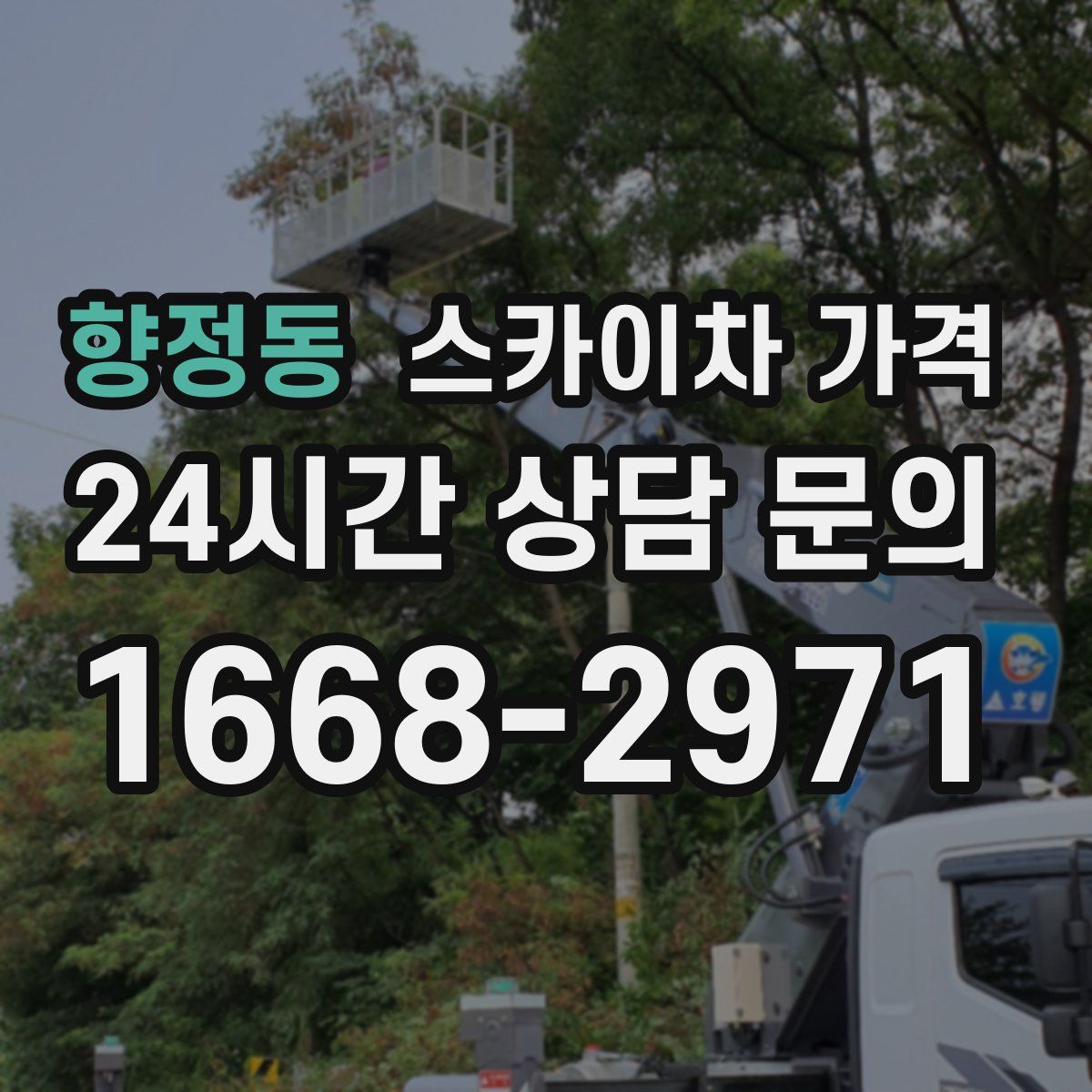 향정동 스카이차 가격