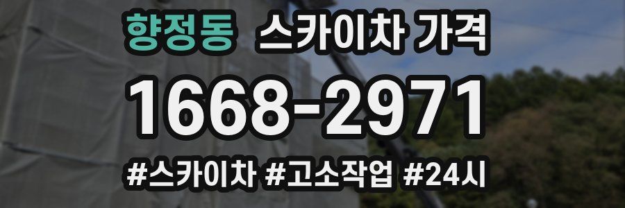 향정동 스카이차 가격