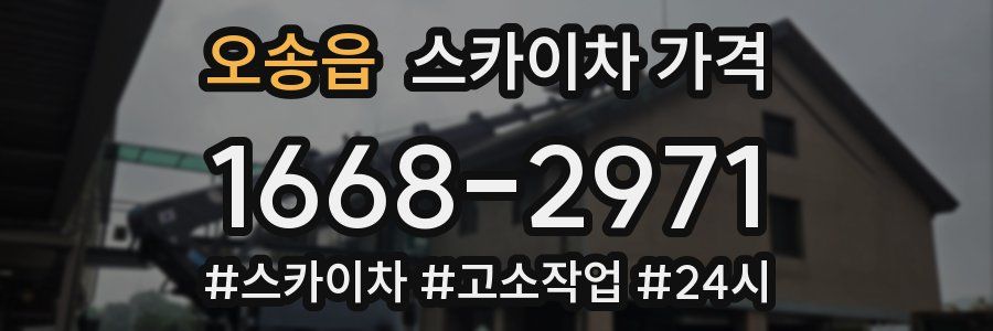 오송읍 스카이차 가격