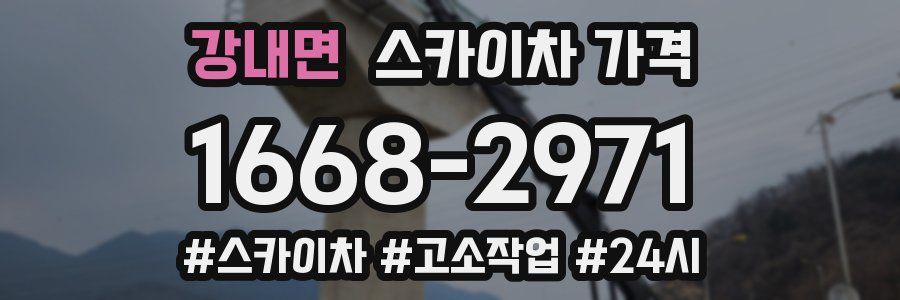 강내면 스카이차 가격