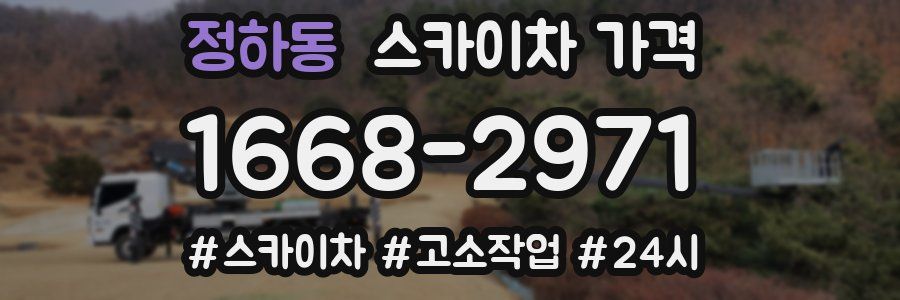 정하동 스카이차 가격