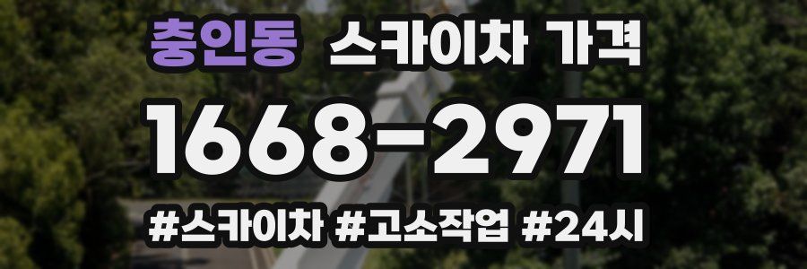 충인동 스카이차 가격