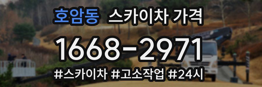 호암동 스카이차 가격