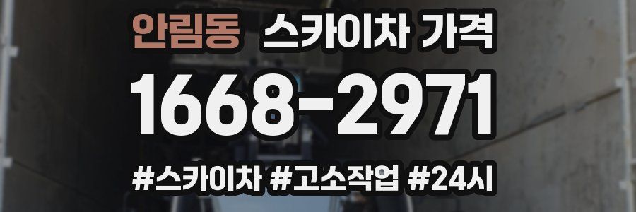 안림동 스카이차 가격