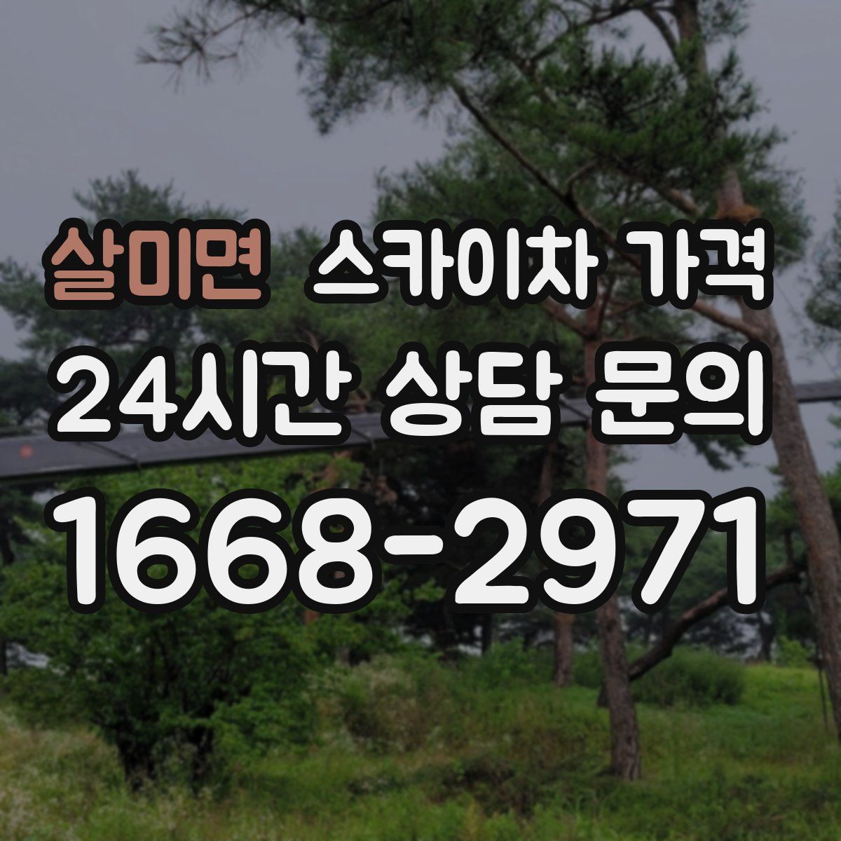 살미면 스카이차 가격