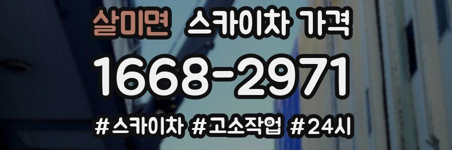 살미면 스카이차 가격