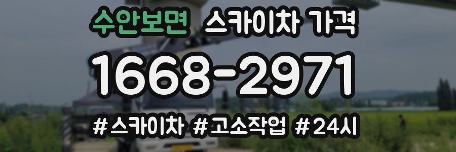 수안보면 스카이차 가격