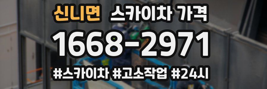 신니면 스카이차 가격