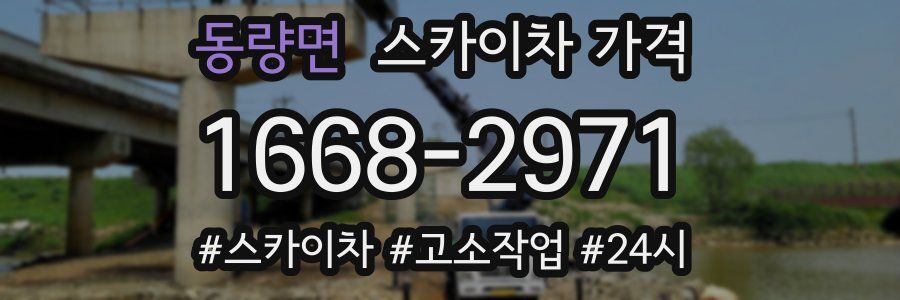 동량면 스카이차 가격