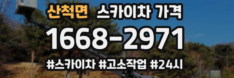 산척면 스카이차 가격