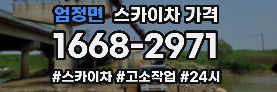 엄정면 스카이차 가격