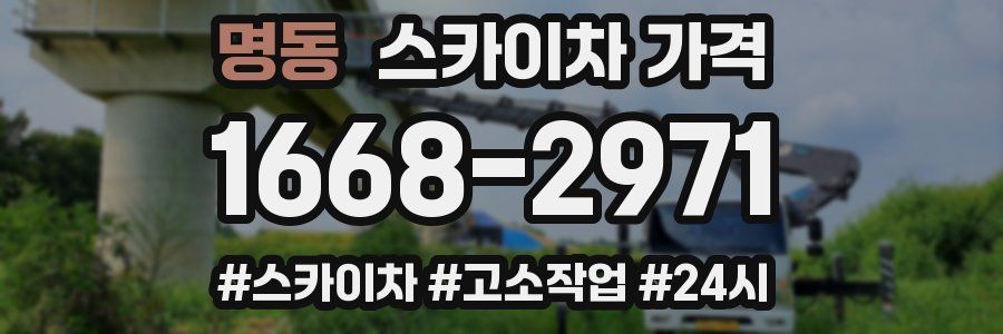 명동 스카이차 가격