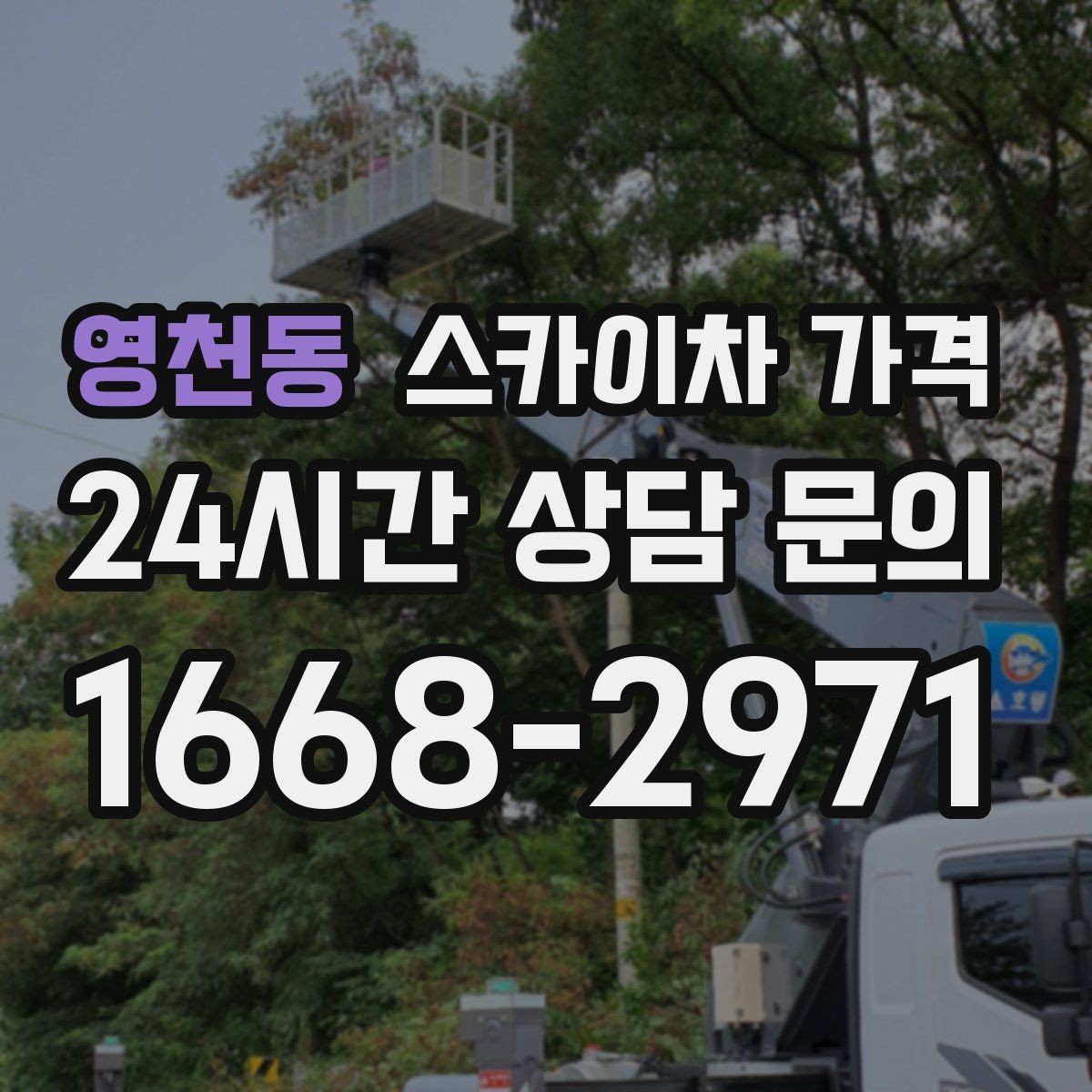 영천동 스카이차 가격 '싼 견적'이 항상 좋은 선택이 아닌 이유