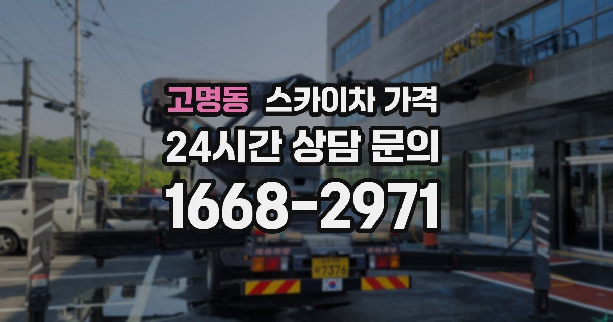 고명동 스카이차 가격