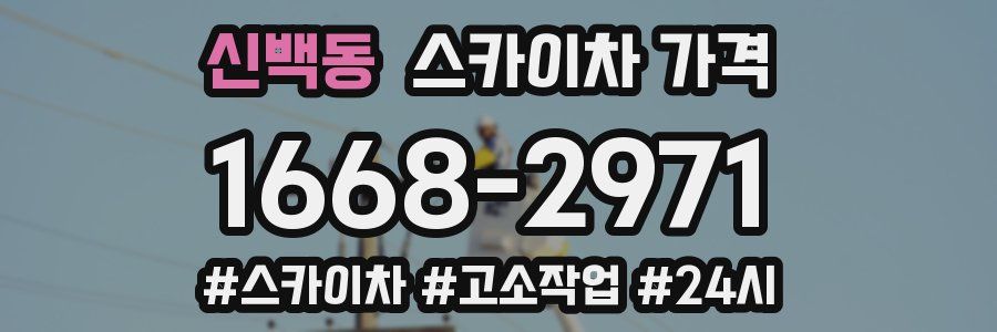 신백동 스카이차 가격