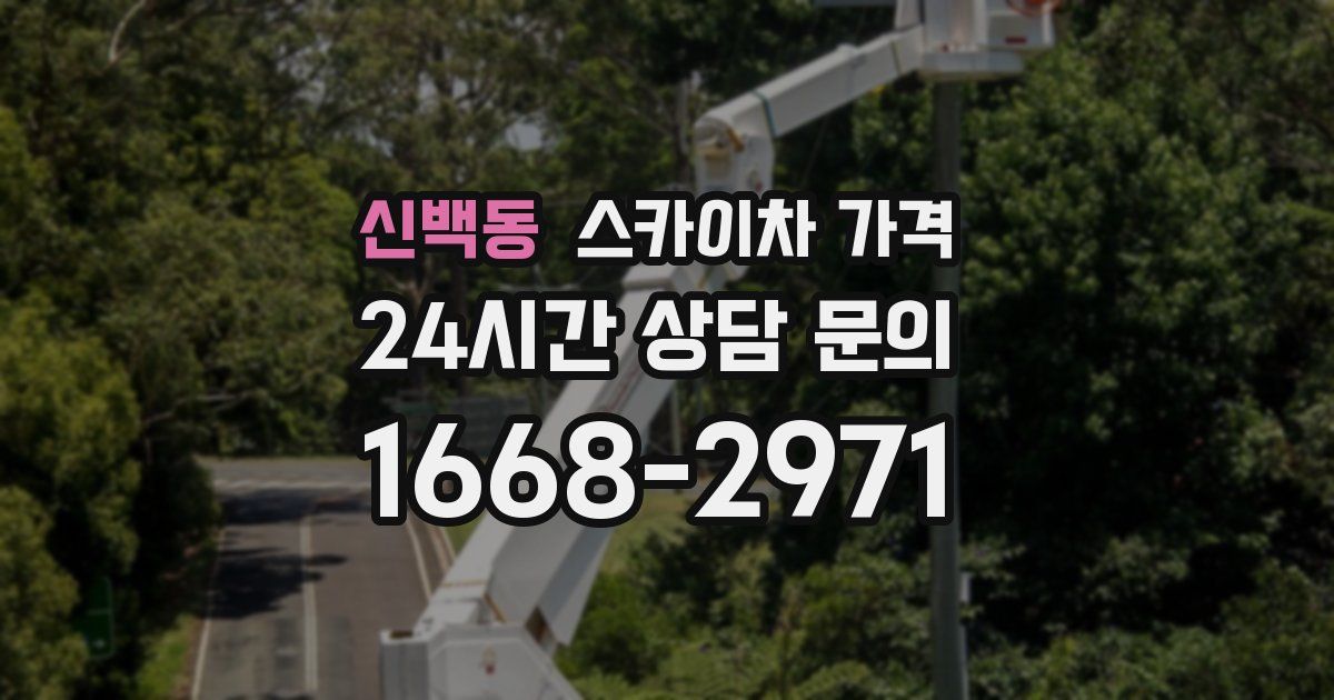 신백동 스카이차 가격