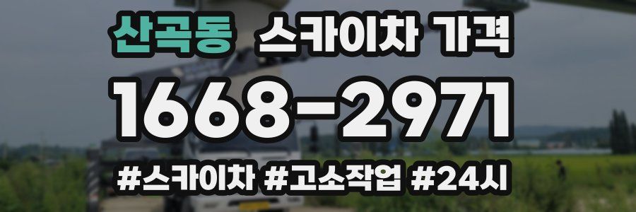 산곡동 스카이차 가격