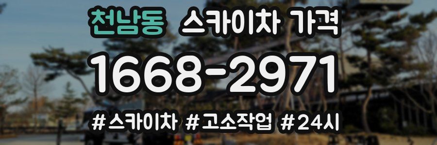 천남동 스카이차 가격