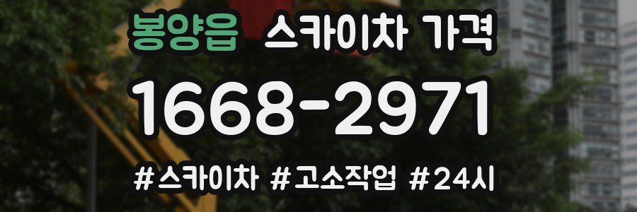 봉양읍 스카이차 가격