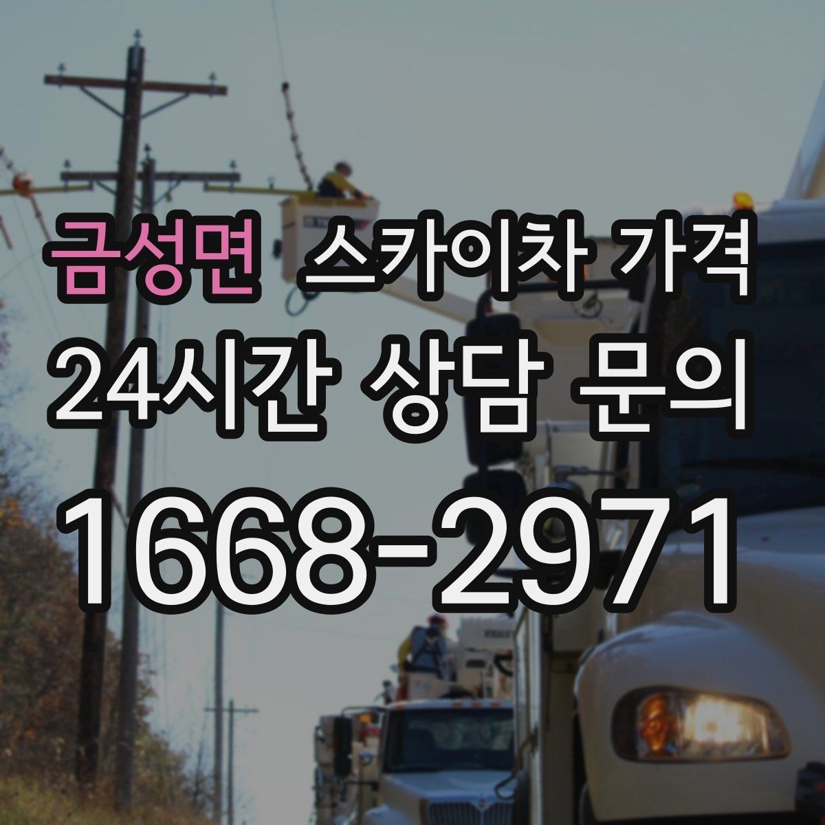 금성면 스카이차 가격 '포함'과 '별도' 항목을 구분하는 방법