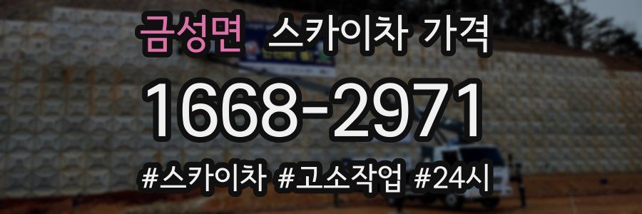 금성면 스카이차 가격