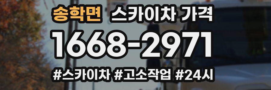 송학면 스카이차 가격