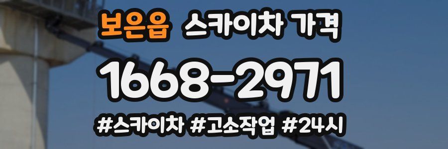 보은읍 스카이차 가격