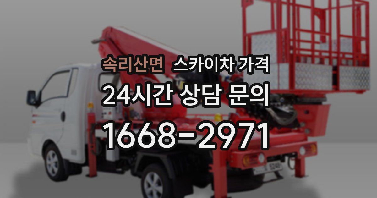 속리산면 스카이차 가격