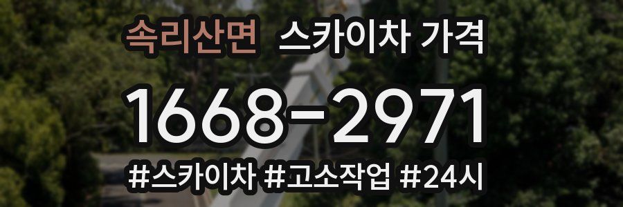 속리산면 스카이차 가격